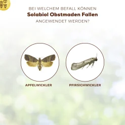 Solabiol Obstmaden Fallen 5 Stück