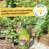 Solabiol Pilzfrei AF 750 ml