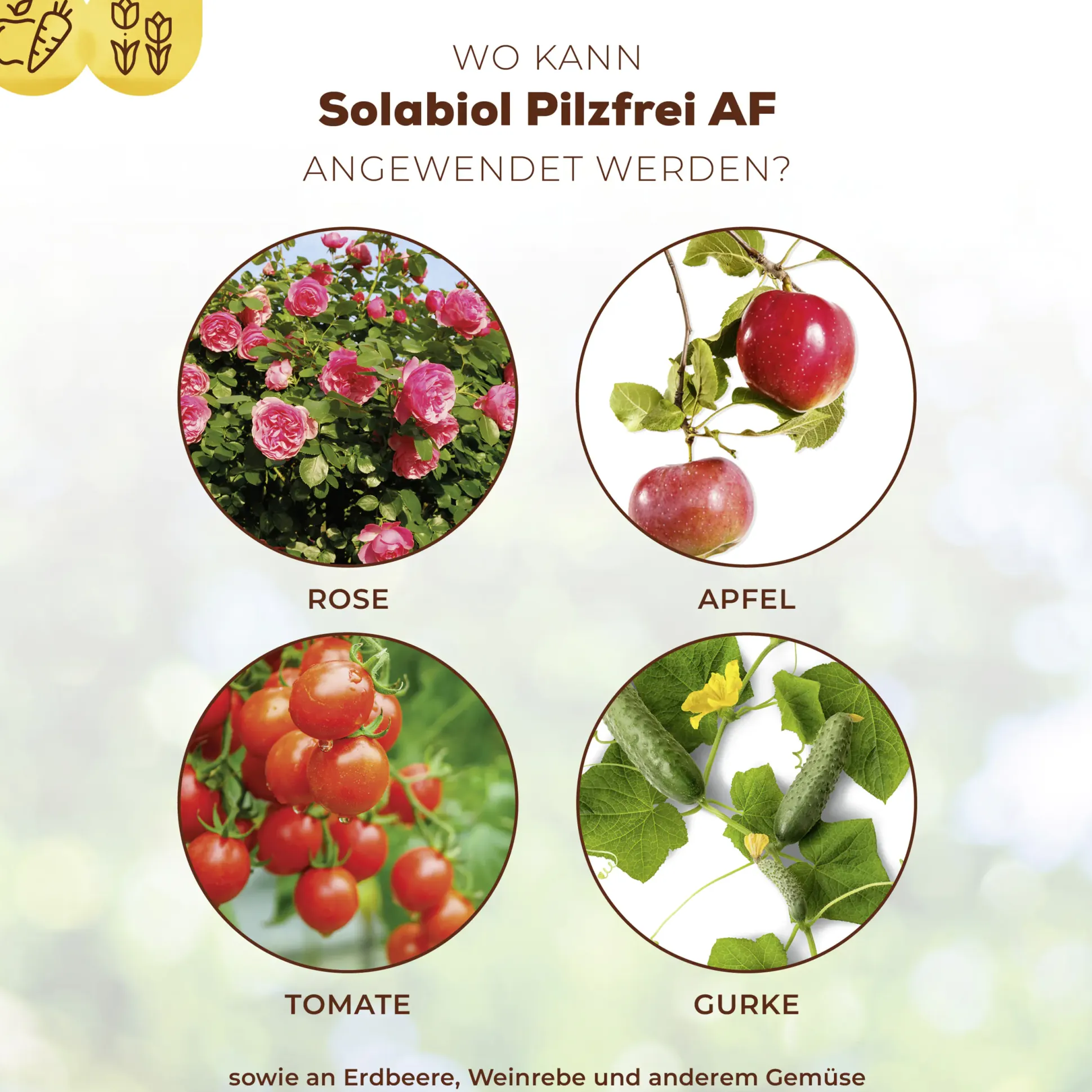 Solabiol Pilzfrei AF 750 ml