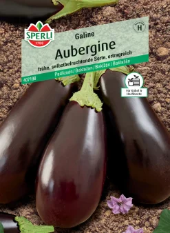 Sperli Aubergine Galine F1