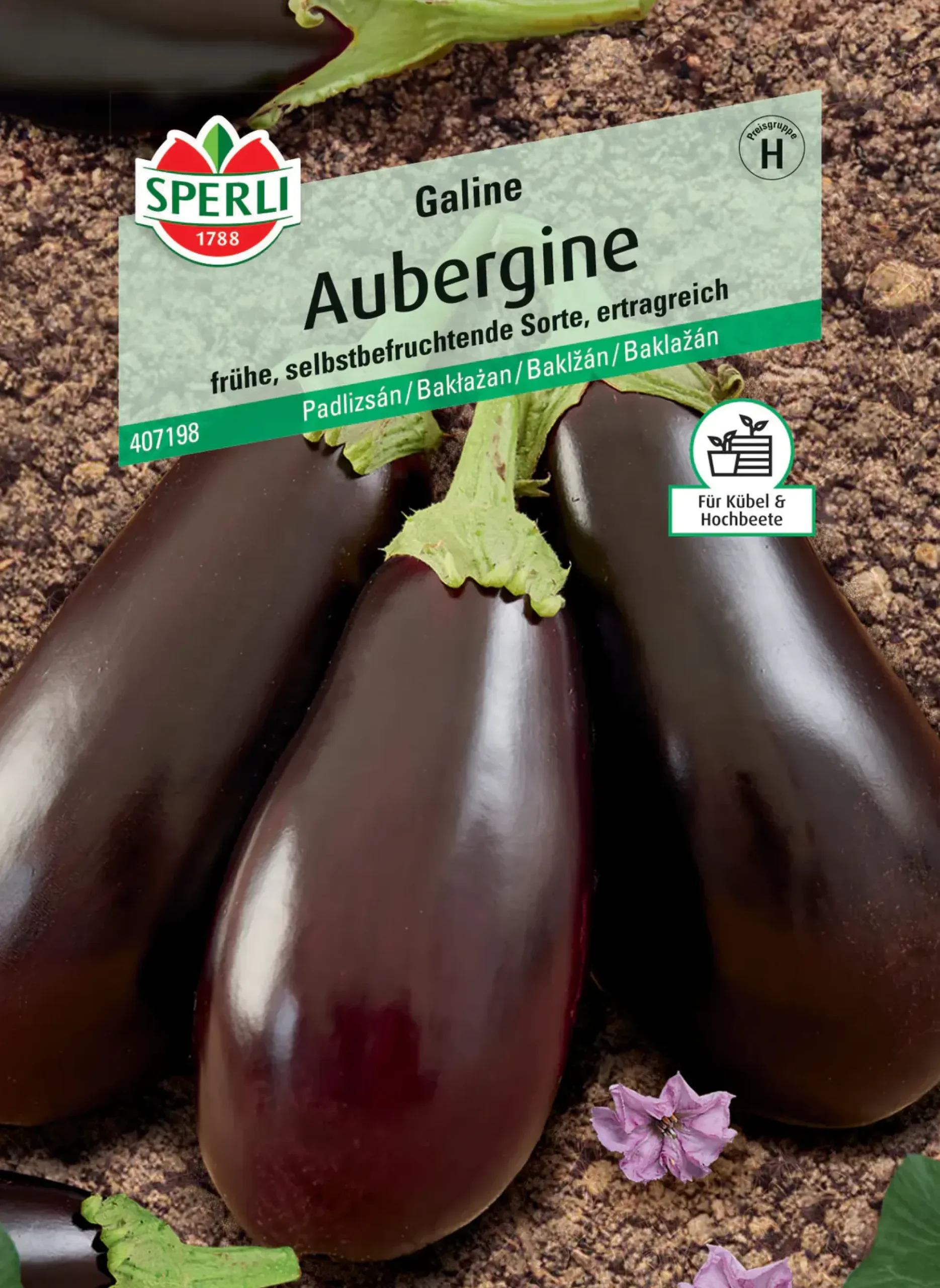 Sperli Aubergine Galine F1