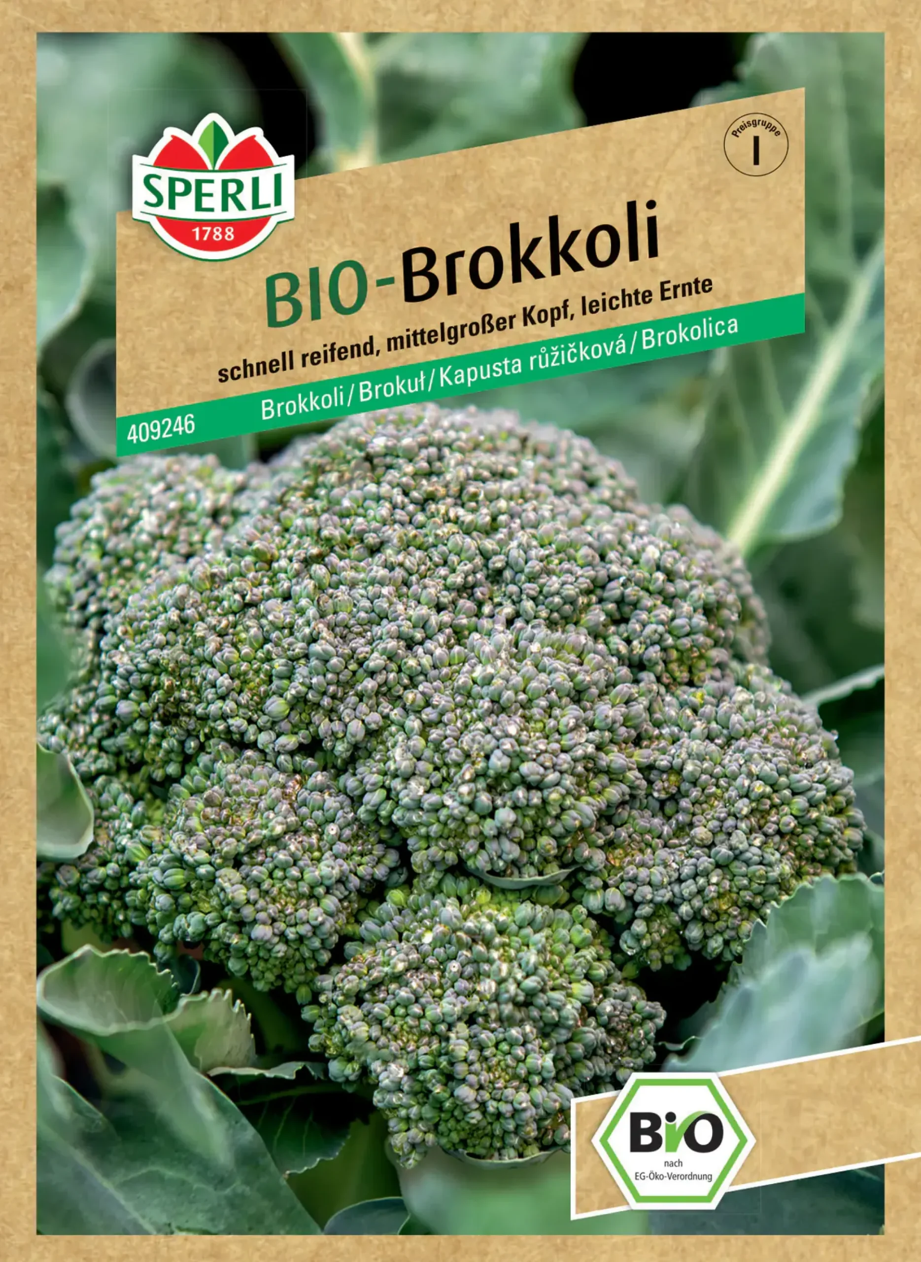 Sperli BIO Brokkoli Bobby