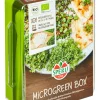 Sperli Bio Microgreen Box Anzuchtset 4 Pads