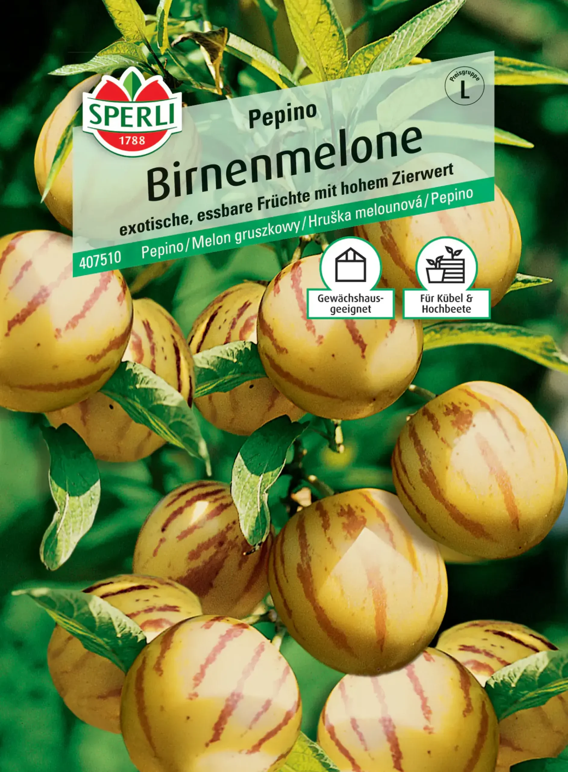 Sperli Birnenmelone Pepino