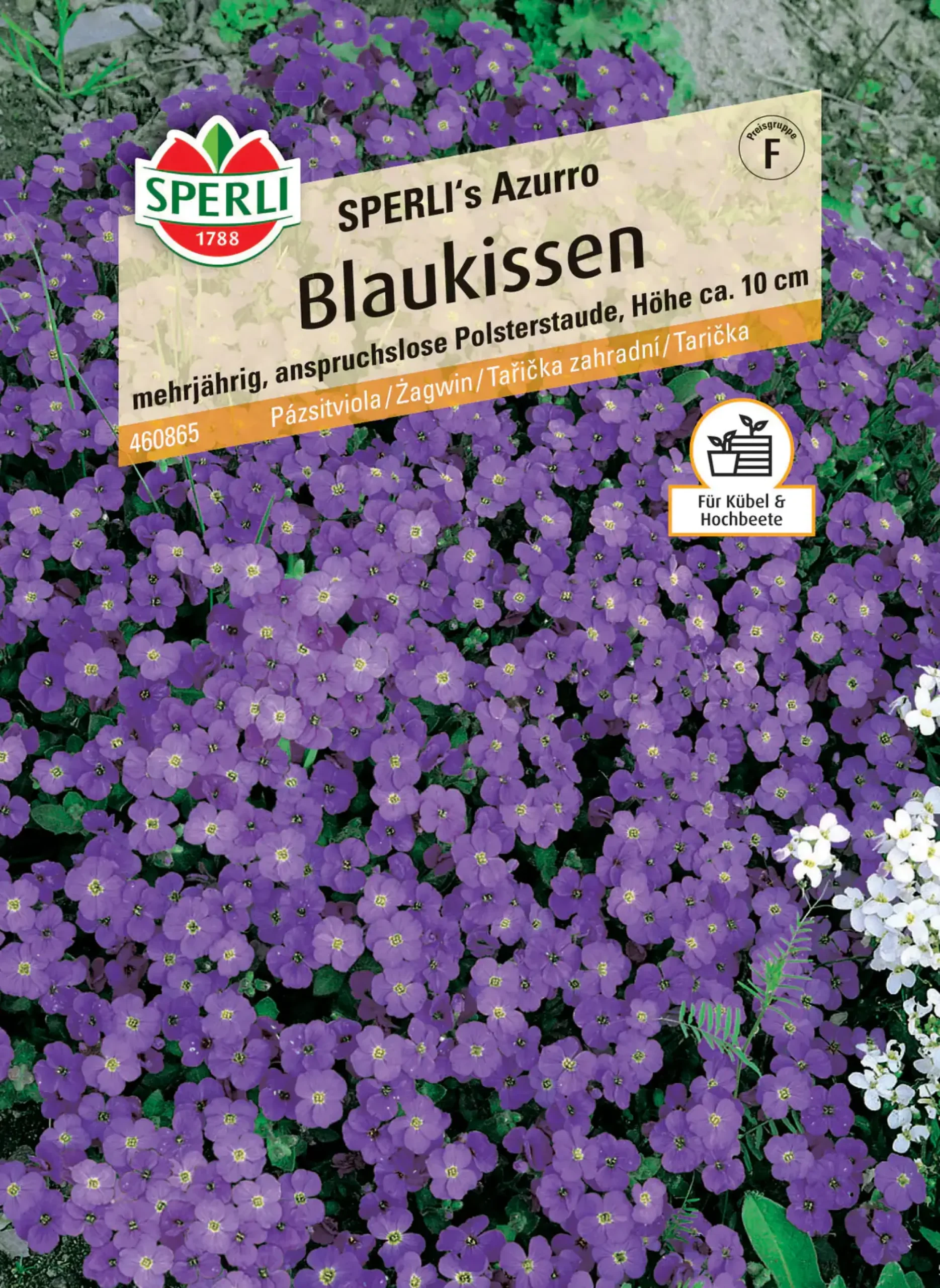 Sperli Blaukissen SPERLI's Azurro