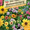 Sperli Blumenmischung Blühende Schneckenbarriere SPERLI's Schleich Dich Saatband