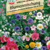 Sperli Blumenmischung Feld- und Wiesencharme