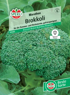 Sperli Brokkoli Marathon F1
