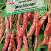 Sperli Buschbohne Borlotto rosso