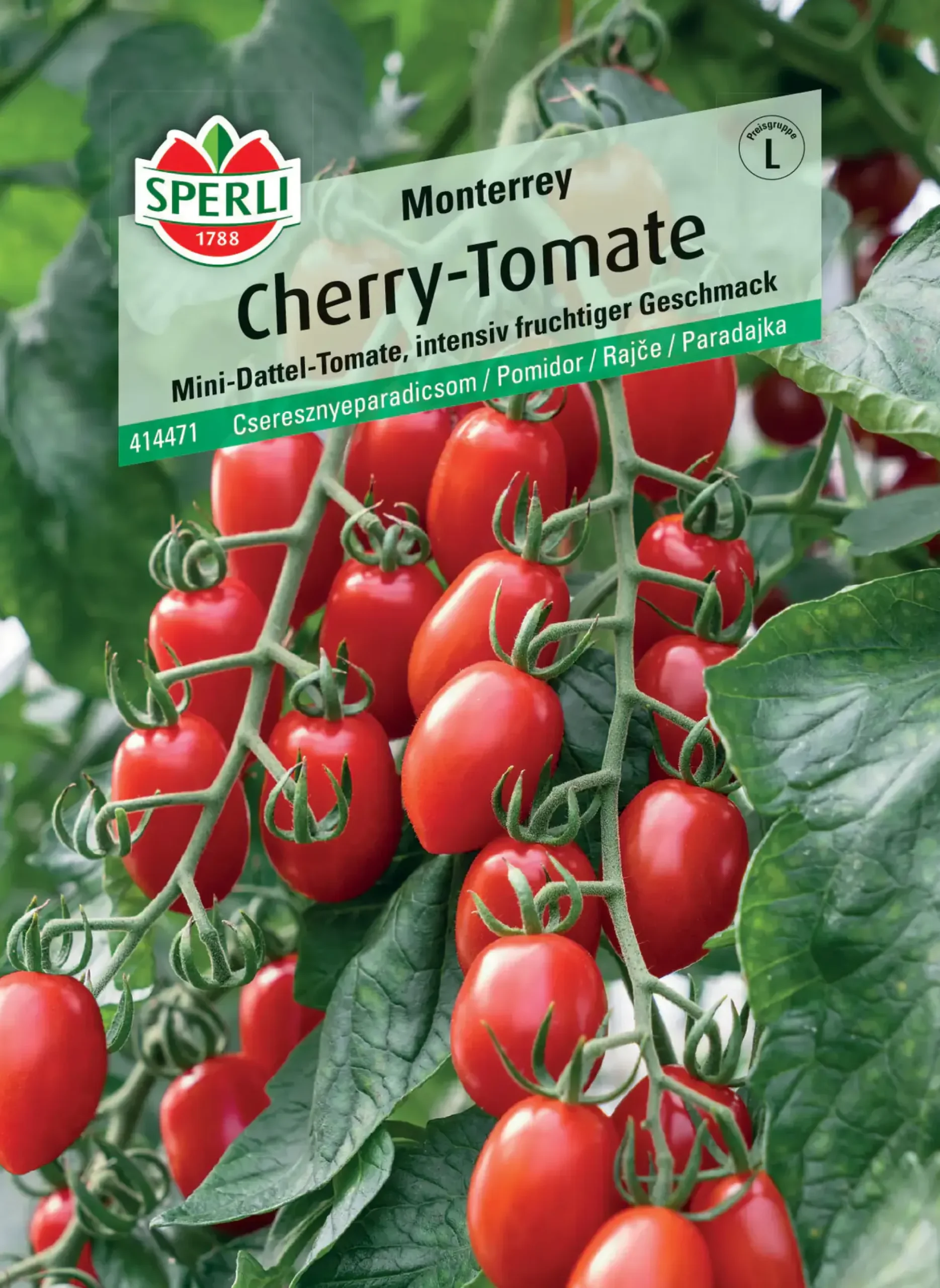 Sperli Cherrytomate Monterrey F1