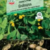 Sperli Erdnuss Jimmy's Pride