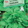 Sperli Feldsalat Verte de Cambrai
