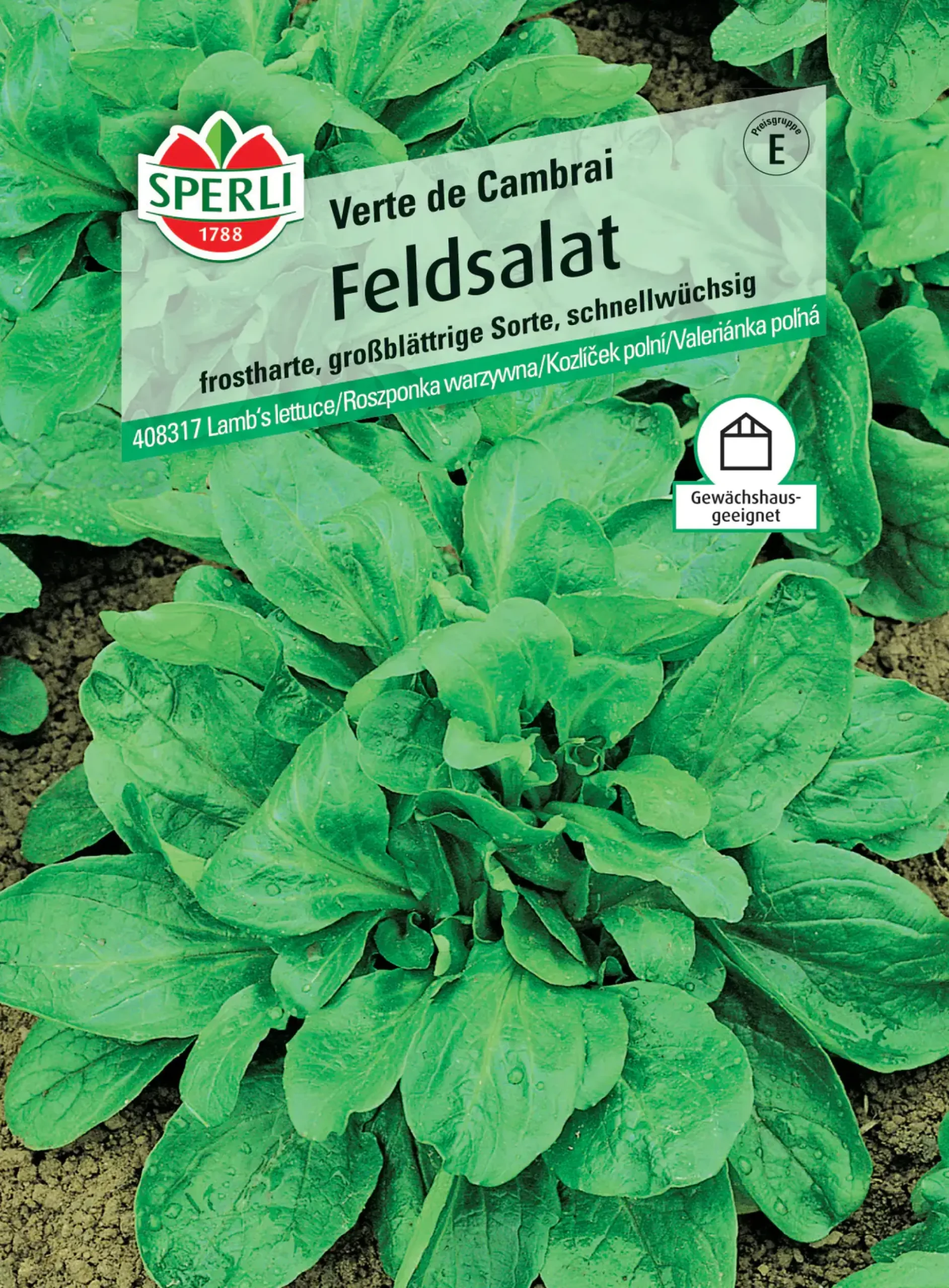 Sperli Feldsalat Verte de Cambrai