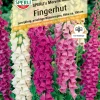 Sperli Fingerhut SPERLI's Mervita Mischung