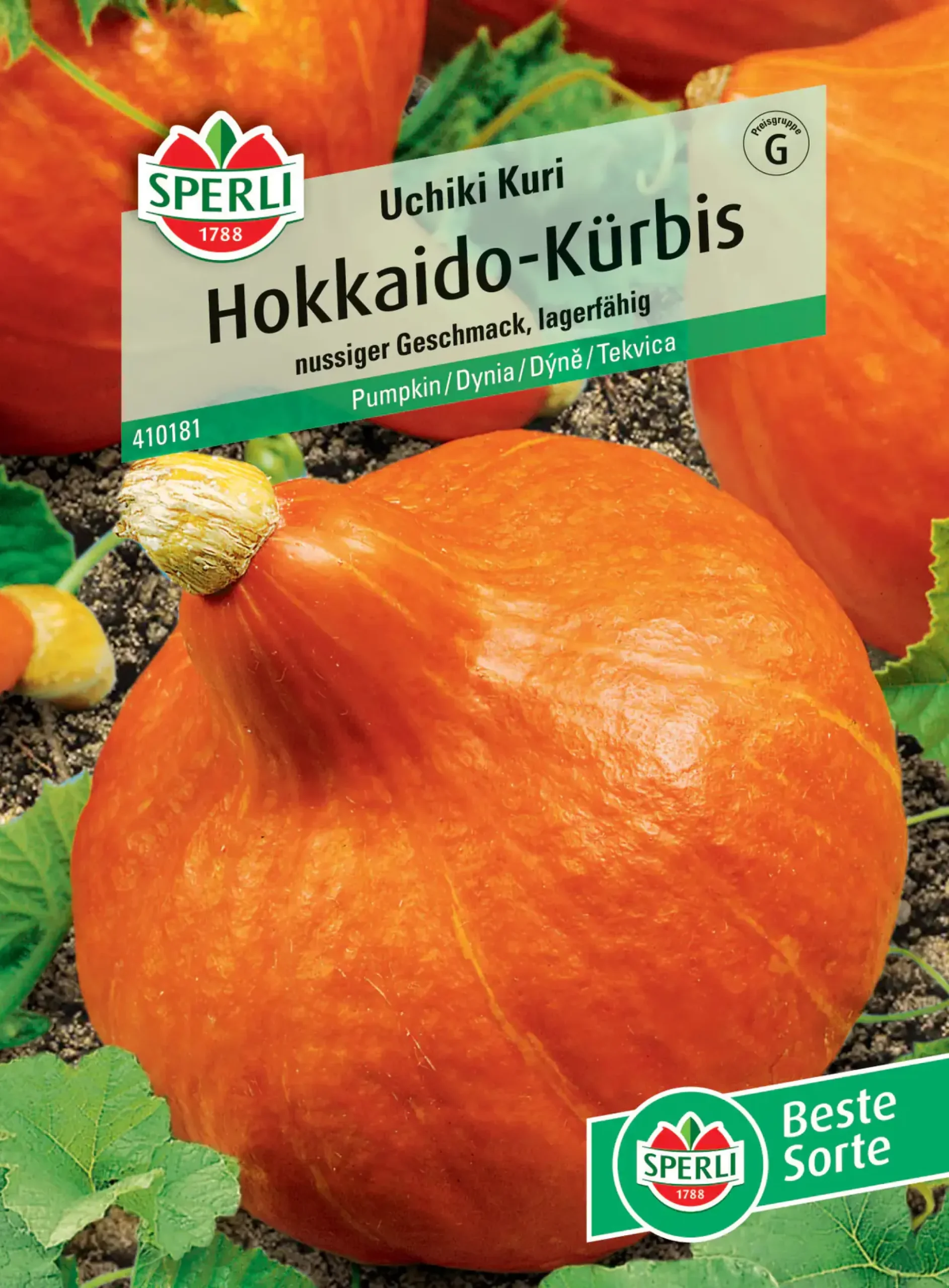 Sperli Hokkaido-Kürbis Uchiki Kuri