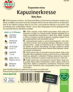 Sperli Kapuzinerkresse Baby Rose