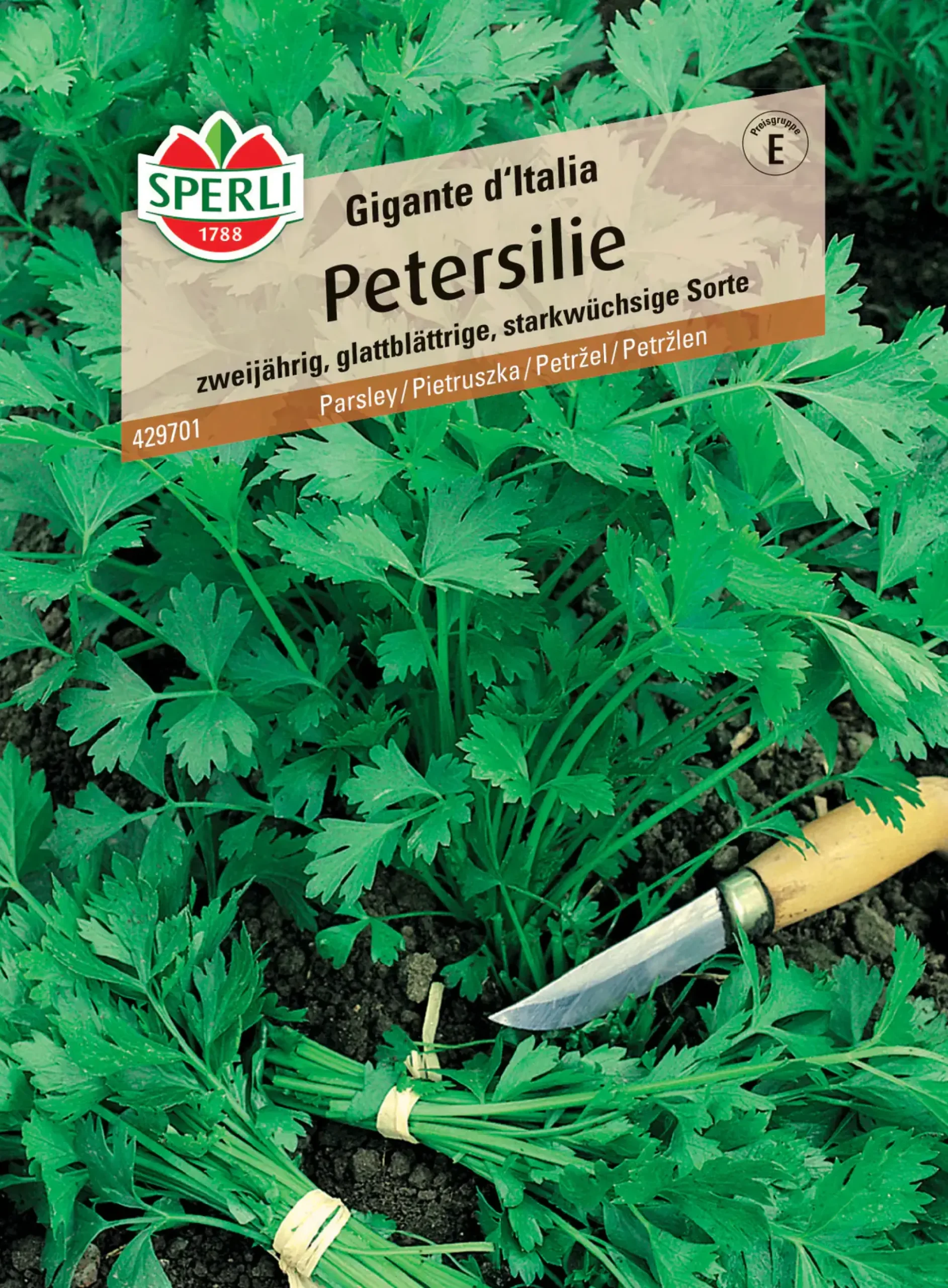 Sperli Petersilie Gigante d'Italia
