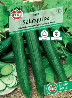 Sperli Salatgurke Bella F1