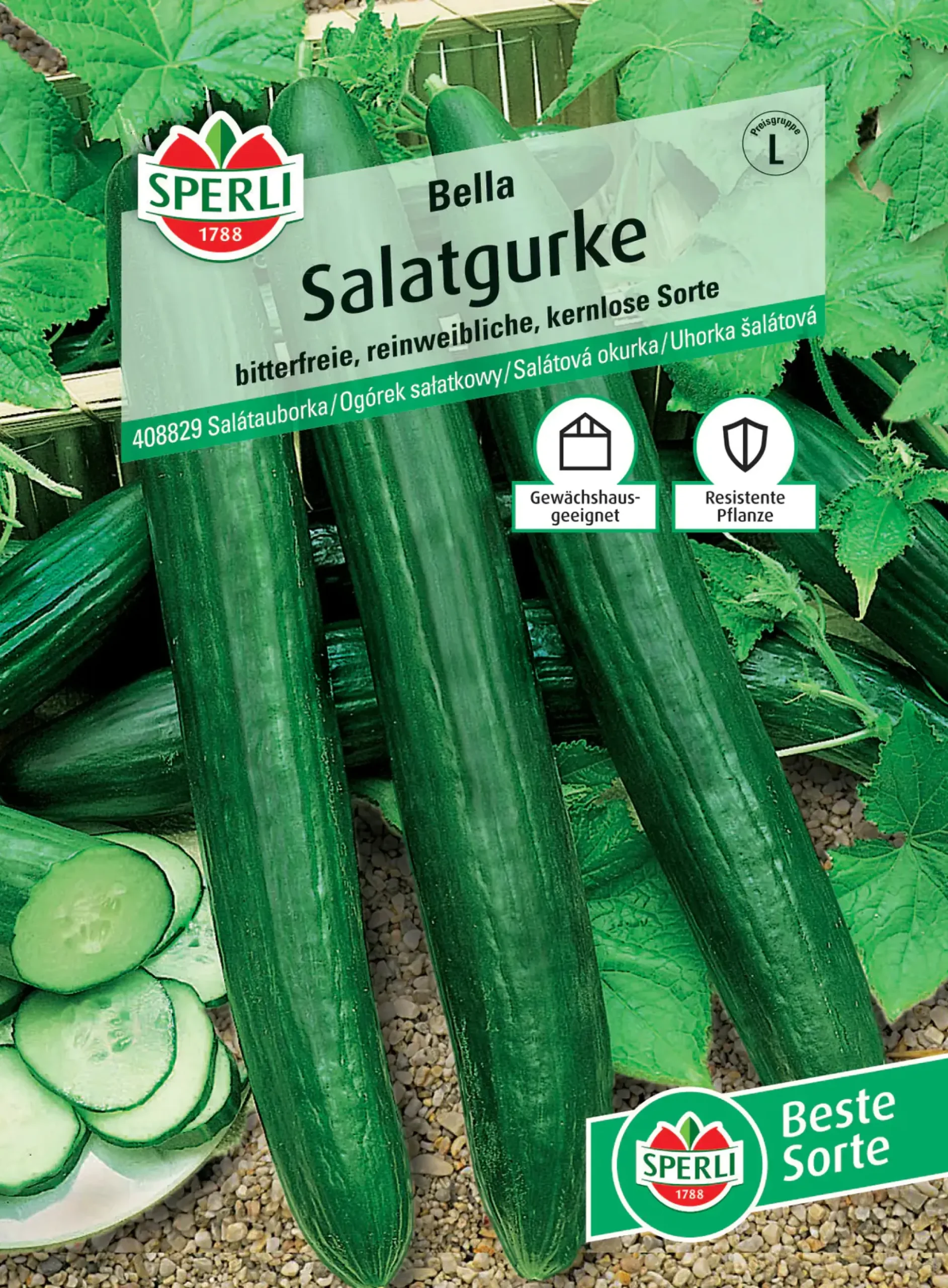 Sperli Salatgurke Bella F1