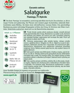 Sperli Salatgurke Flamingo F1