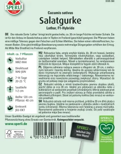 Sperli Salatgurke Lothar F1