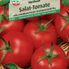 Sperli Salat-Tomate Harzfeuer F1