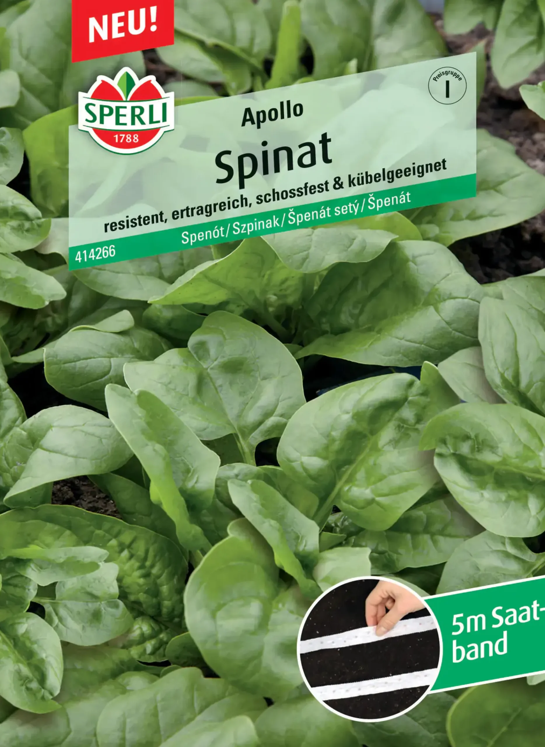 Sperli Spinat Apollo F1 Saatband