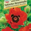 Sperli Türkischer Riesenmohn SPERLI's Orient