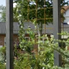 Stahlspalier 90x180 cm, Stahl rostig