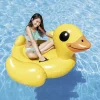 Steinbach Wassertier Ente 147 x 147 x 81 cm