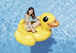 Steinbach Wassertier Ente 147 x 147 x 81 cm