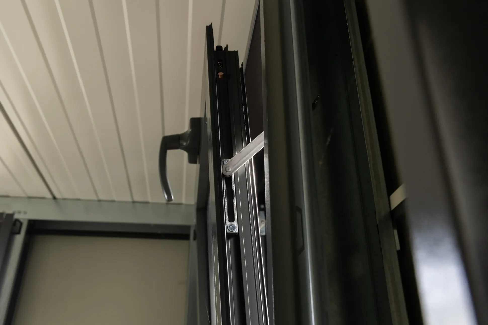 Telluria Gerätehaus Luminato 2424 EW weiß 238 x 238 cm
