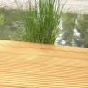 Terrassendiele Lärche 300 x 14,5 x 2,7 cm grob/fein unbehandelt
