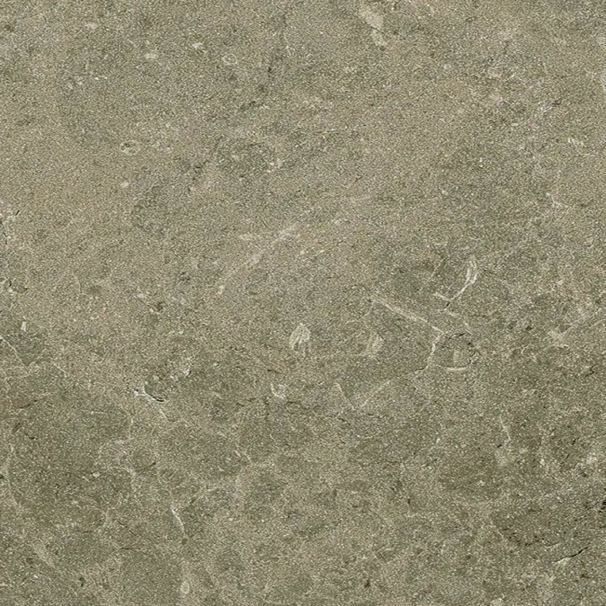 Terrassenplatte Botticino 60 x 60 cm Taupe