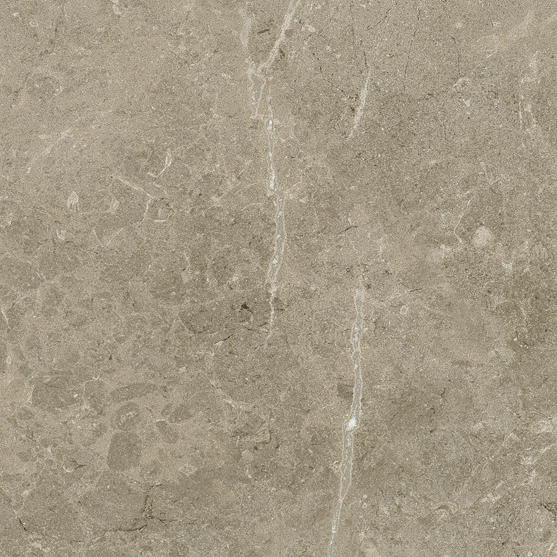 Terrassenplatte Botticino 60 x 60 cm Taupe