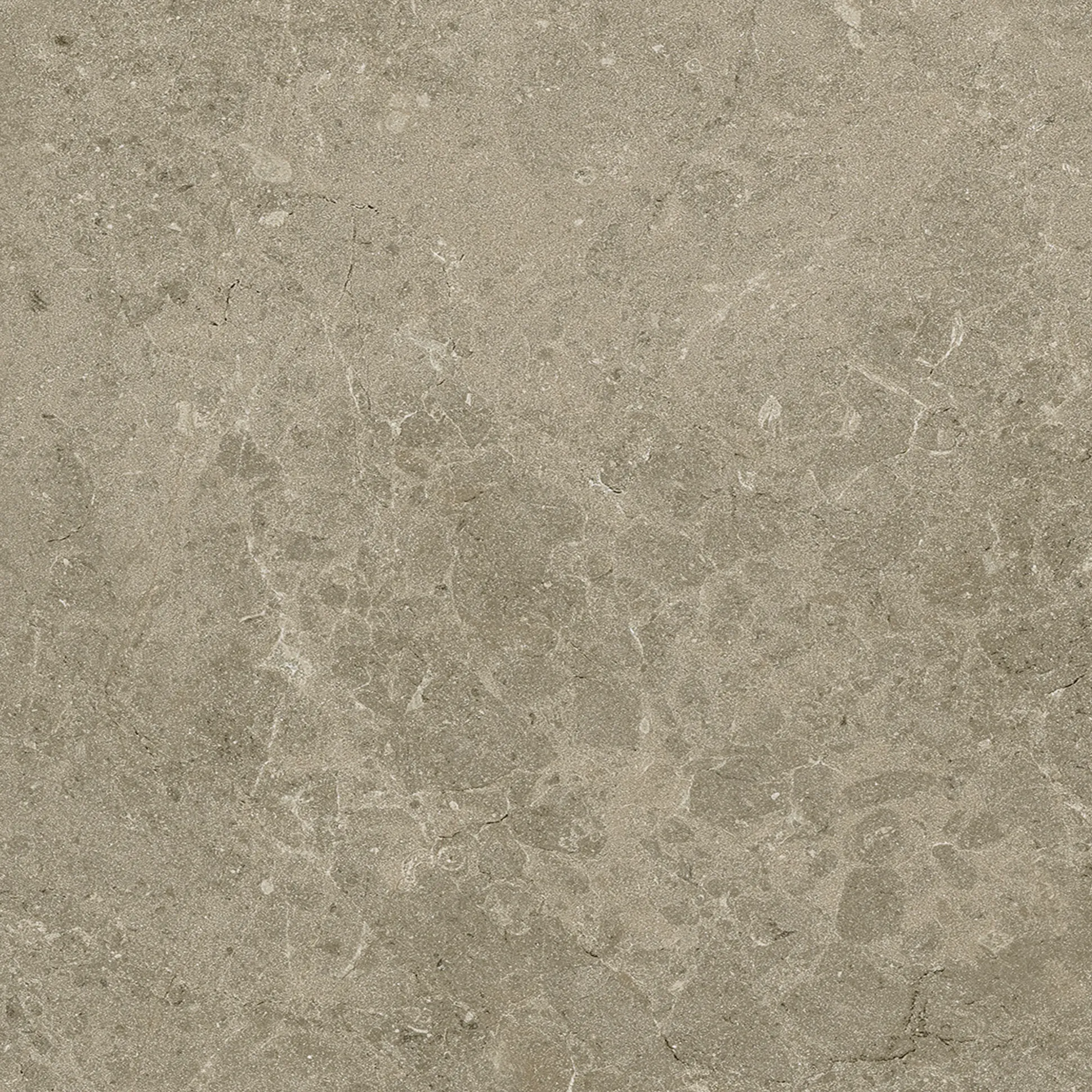 Terrassenplatte Botticino 60 x 60 cm Taupe