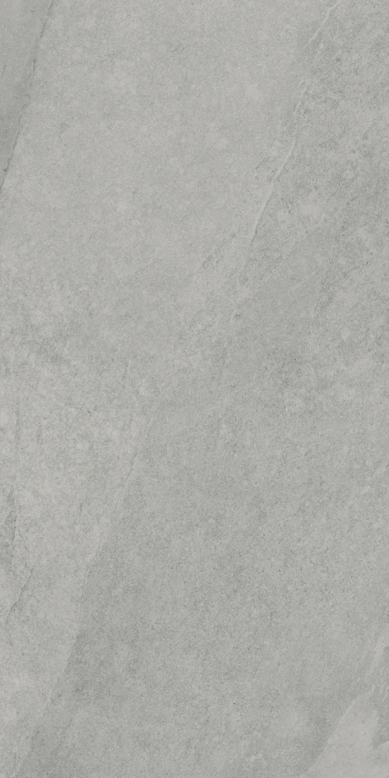 Terrassenplatte Feinsteinzeug Concept grigio 60 x 120 x 2 cm grau