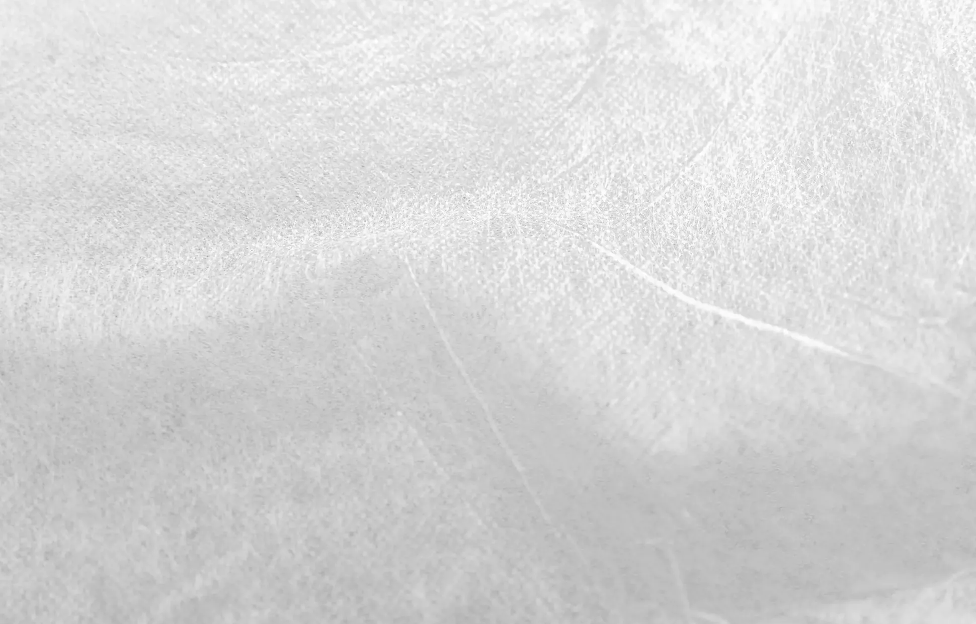 TrendLine Frühbeetvlies 1,5 x 5 m