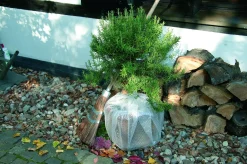 Trendline Luftpolsterfolie 1,0 x 3 m