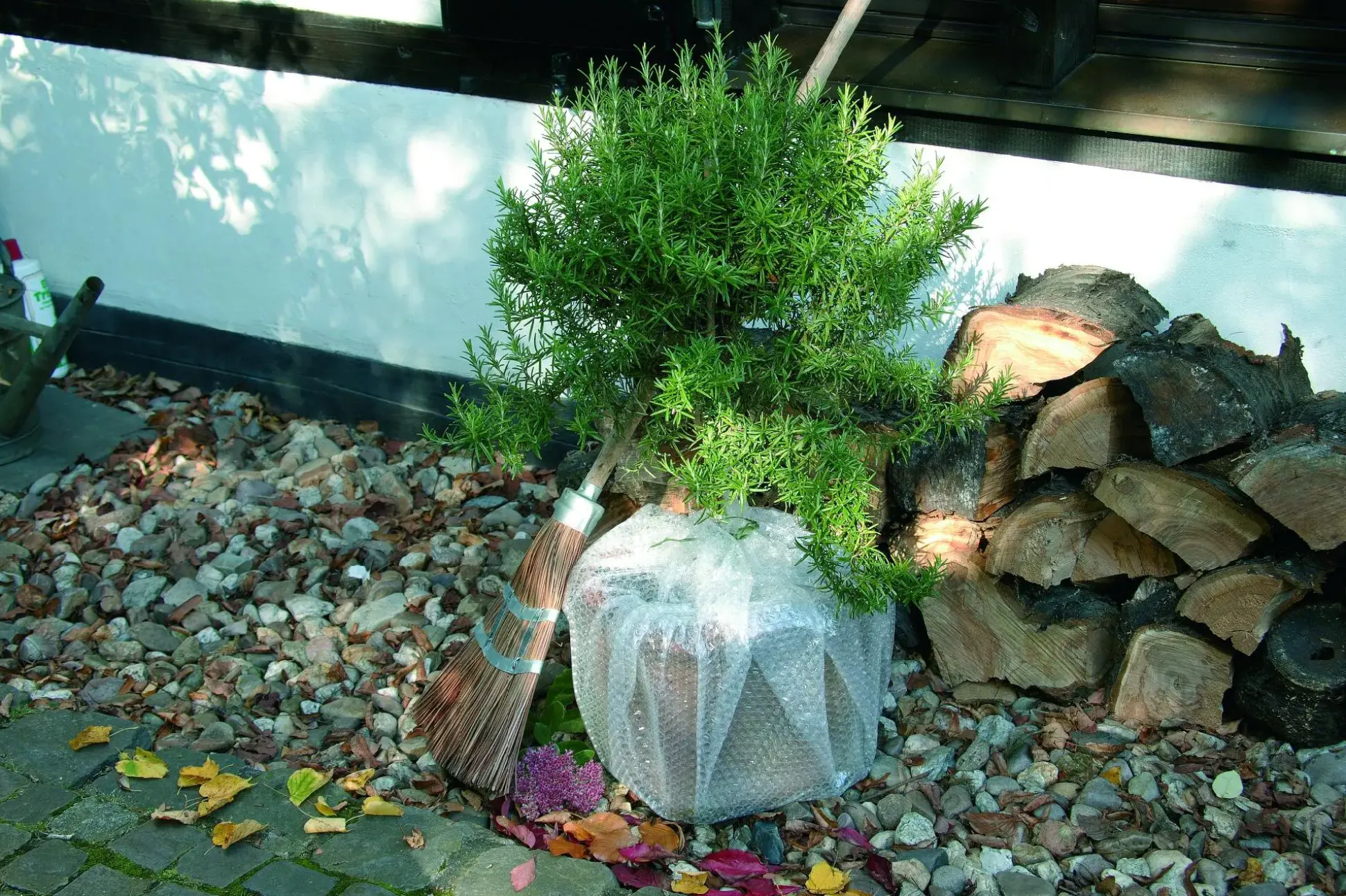Trendline Luftpolsterfolie 1,0 x 3 m