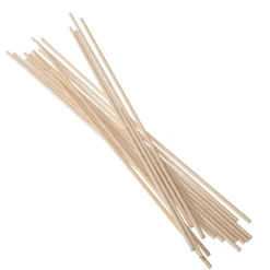 TrendLine Pflanzstab Bambus 40 cm