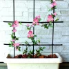 TrendLine Rankgitter 90 cm
