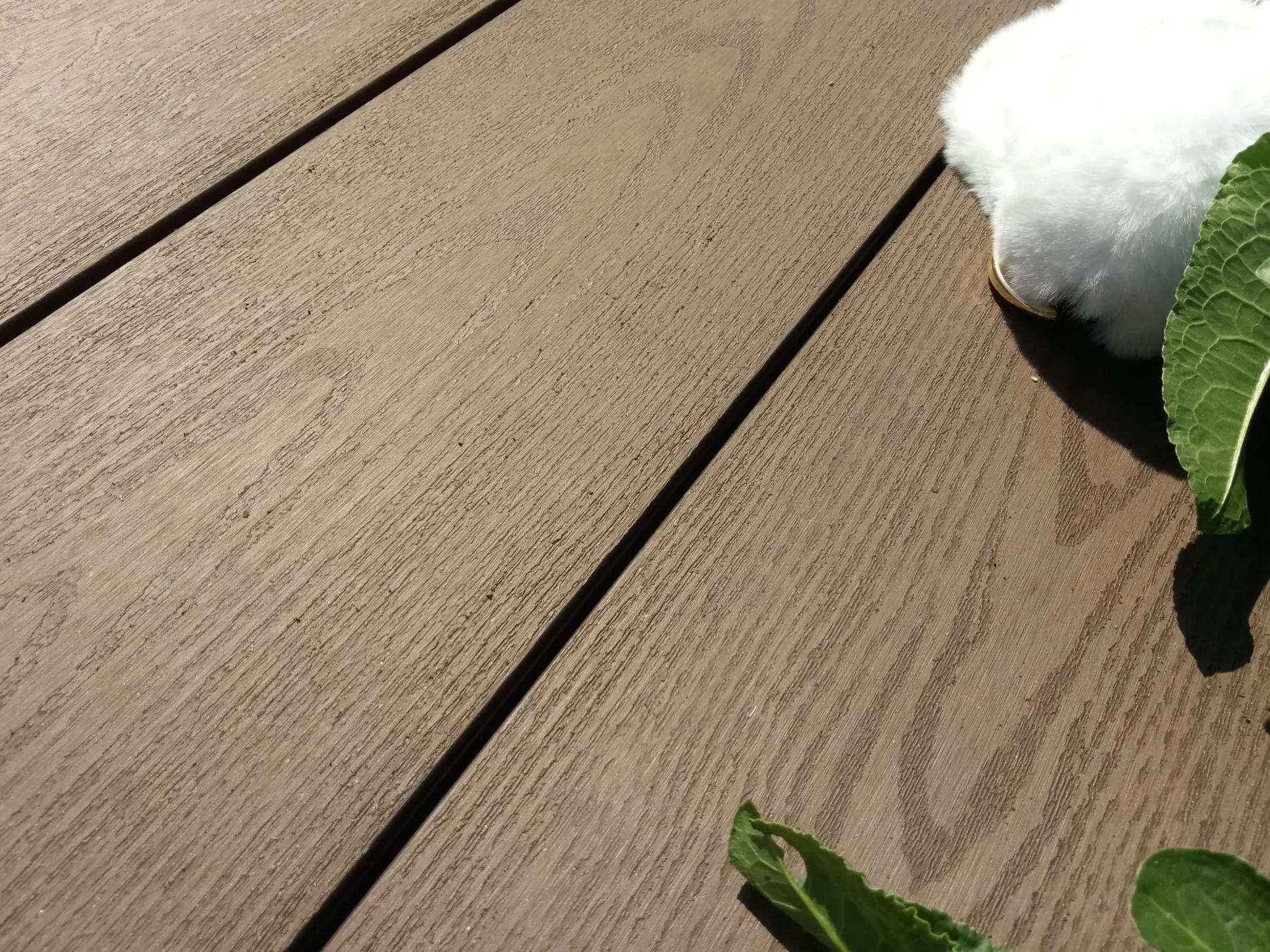 TrendLine Terrassendiele WPC 300 x 14,5 x 2,1 cm braun glatt