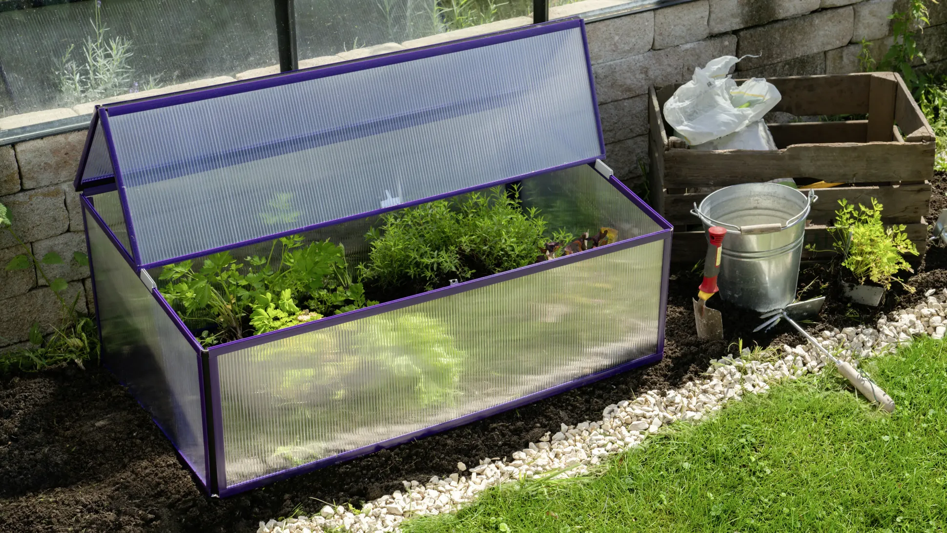 Vitavia Frühbeet Levana 1 57 x 98 cm feige