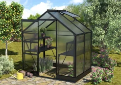 Vitavia Gewächshaus Apollo 2500 195 x 137 cm 4 mm HPK