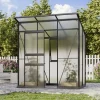 Vitavia Gewächshaus-Set Fokus 3250 HKP 6 mm schwarz 192 x 130 cm