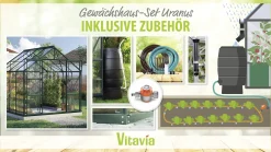 Vitavia Gewächshaus-Set Uranus 6700 ESG 3 mm smaragd 254 x 254 cm
