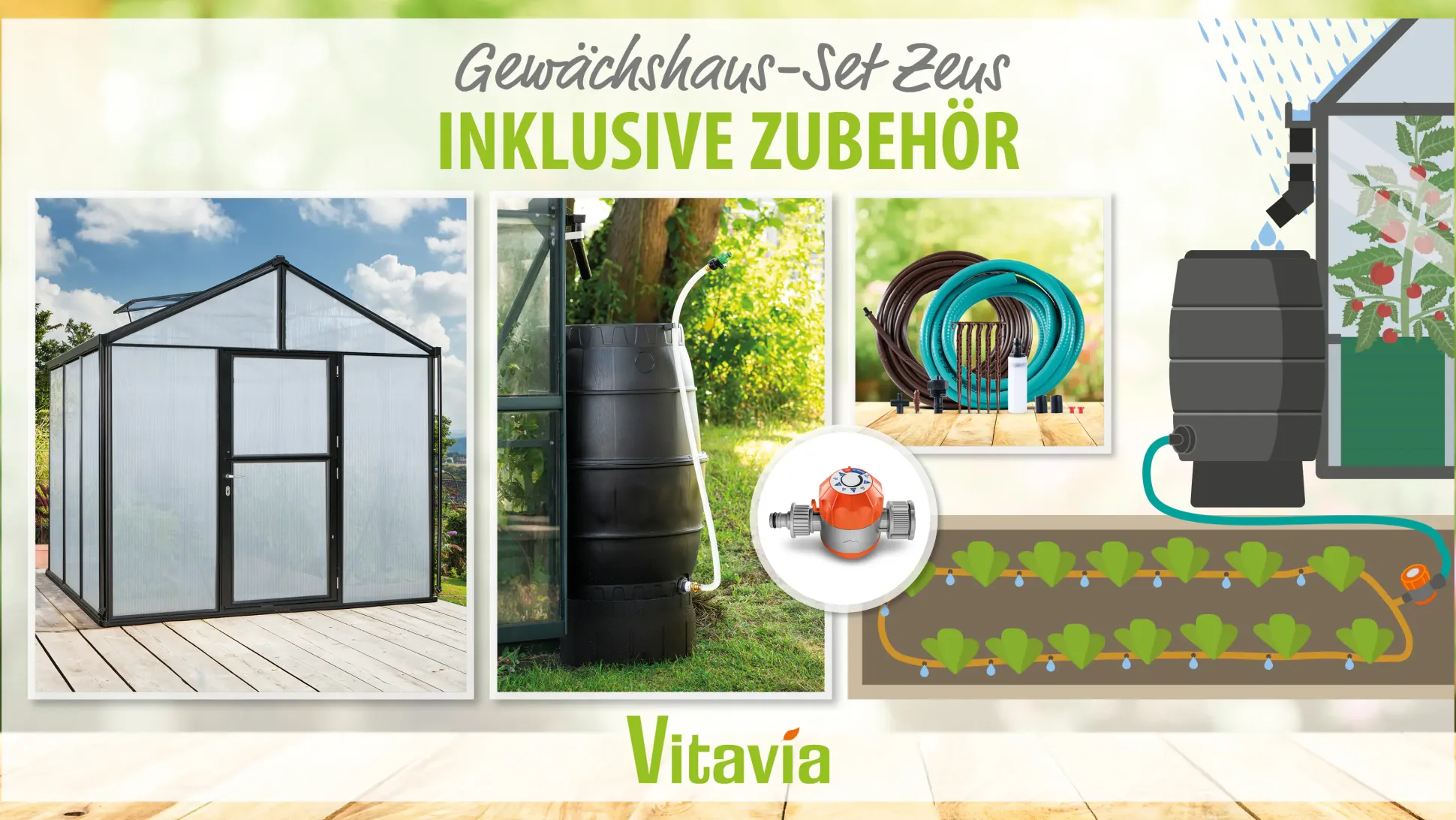 Vitavia Gewächshaus-Set Zeus 6200 HKP 10 mm schwarz 266 x 249 cm