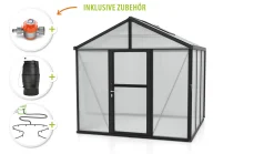 Vitavia Gewächshaus-Set Zeus 6200 HKP 10 mm schwarz 266 x 249 cm