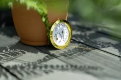 Vitavia Hygrometer